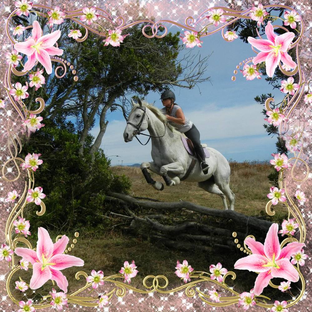 Meet your Posher, Hiedi